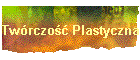Tw�rczość Plastyczna
