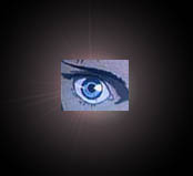tomek